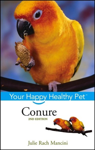 Conure your happy - happy, pet
