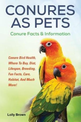 Conures pets conure - conures, pets:
