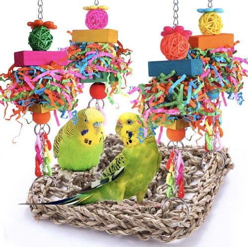 Parakeet toys bird conure - toys,