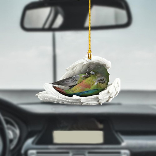 Green cheeked conure - green-cheeked, sleeping